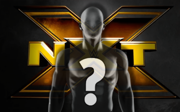 Another NXT Talent Released from the Company