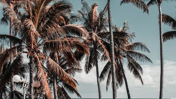 Episode 5: When is the right time to travel