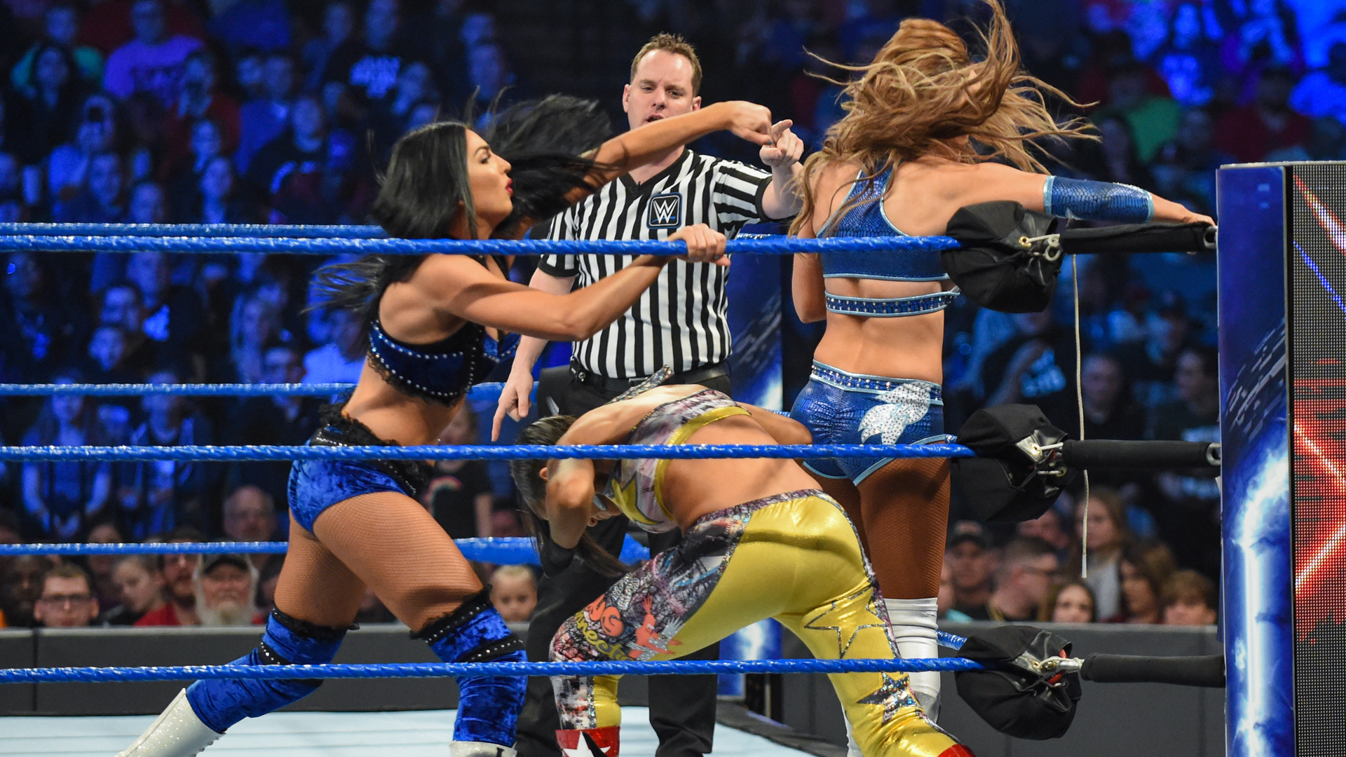 The IIconics def. Sasha Banks & Bayley