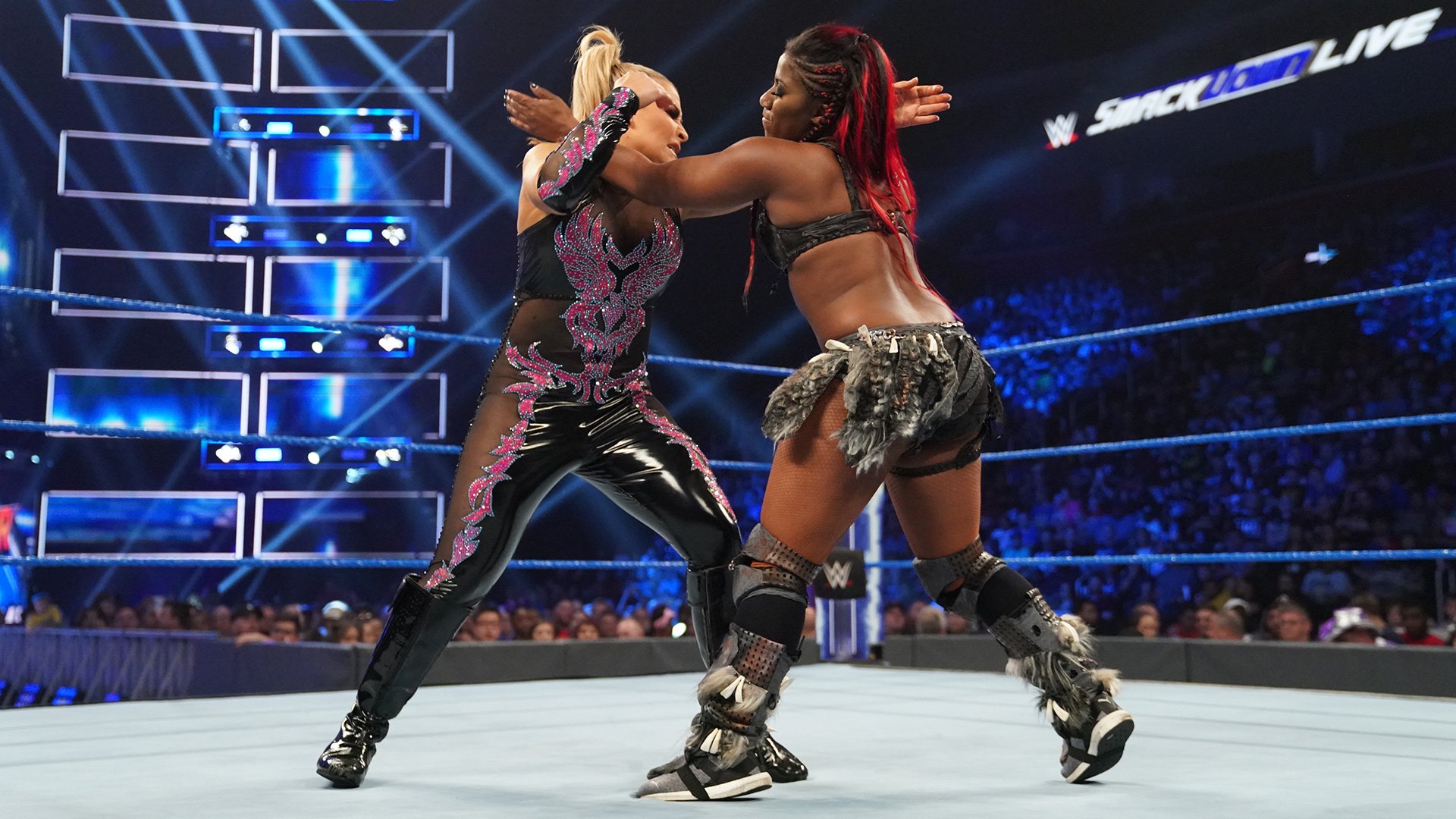 Natalya and Ember Moon battled to a double count-out