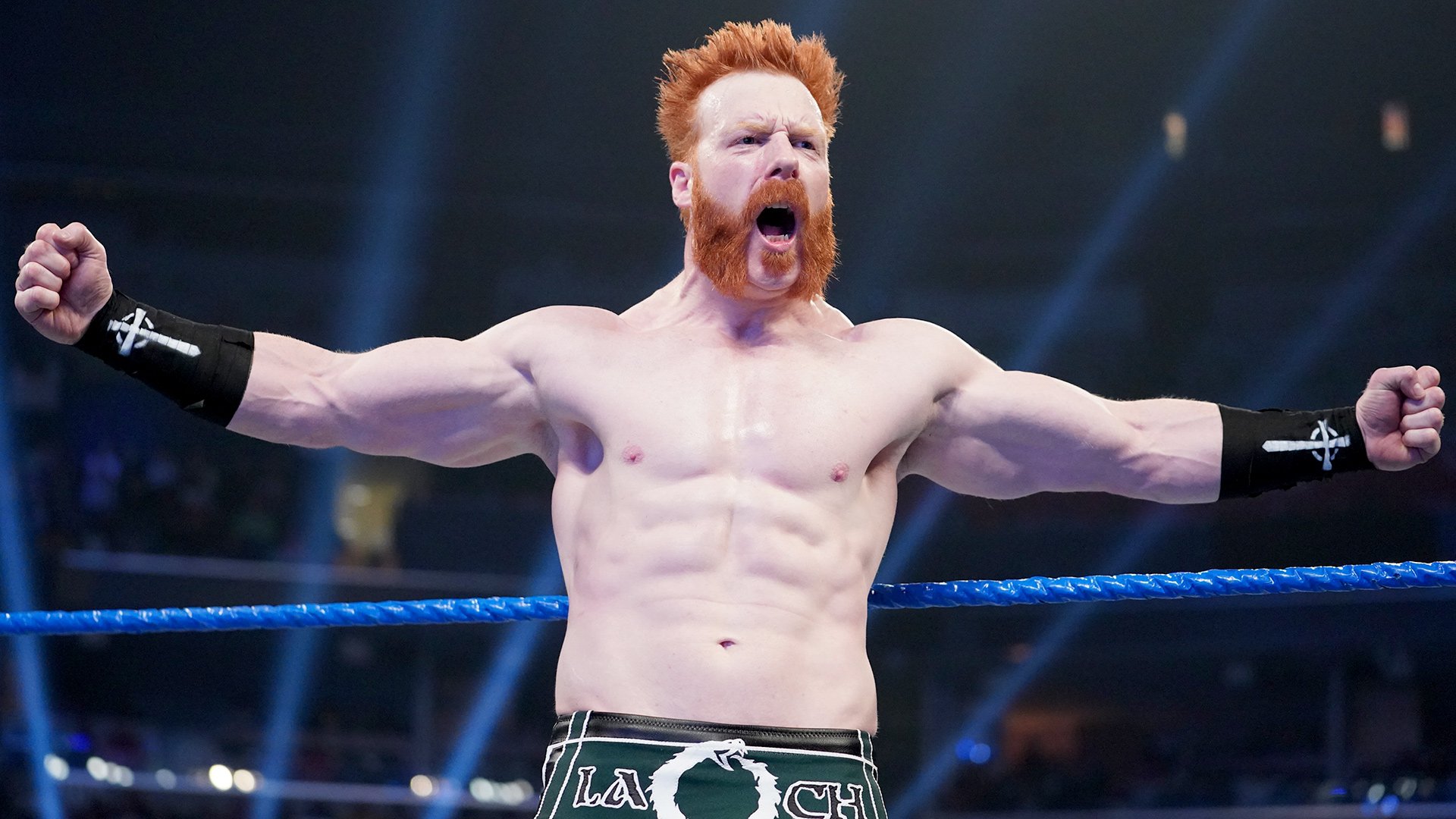 Sheamus to serve as honorary pace car driver for 62nd Daytona 500