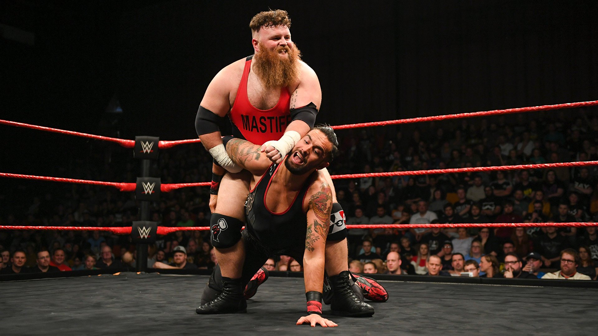 See Andrews, Niven and Mastiff on The Best of NXT UK today