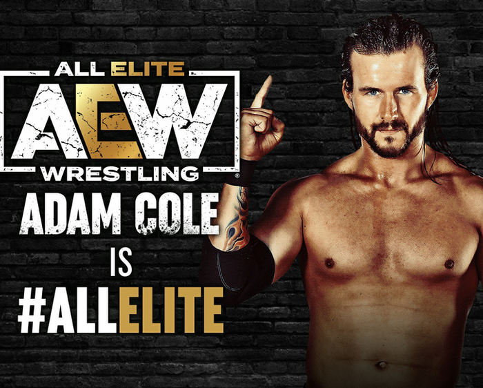 Adam Cole Is All Elite