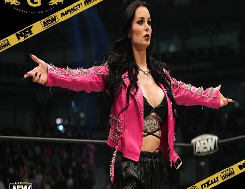 Big Gold Belt Wrestling Podcast: Paigeturner
