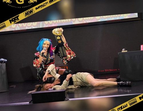 Big Gold Belt Wrestling Podcast: Collision Detected