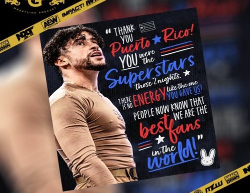 Big Gold Belt Wrestling Podcast: Best Bunny