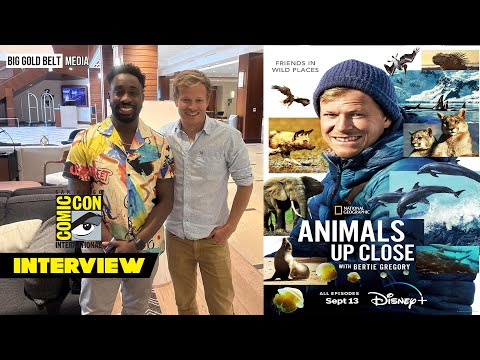 Bertie Gregory Interview | Animals Up Close With Bertie Gregory | SDCC 2023