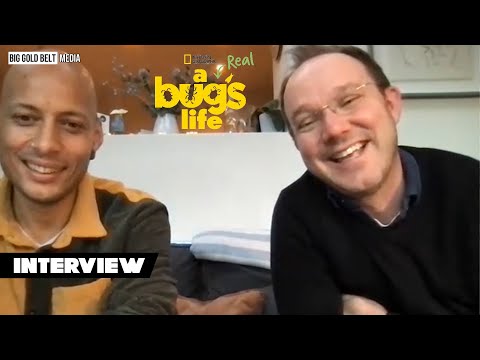 Nathan Small & Bill Markham Interview | A Real Bug's Life | Disney+