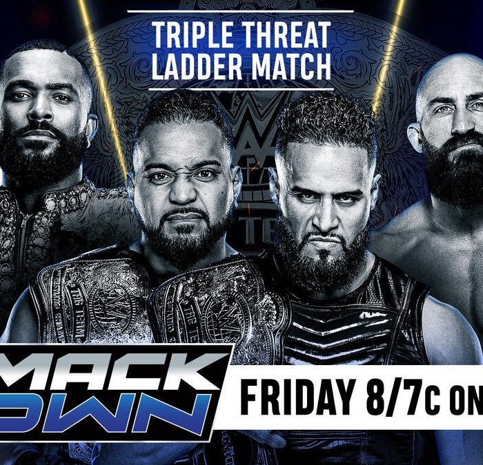 WWE Tag Team Title Triple Threat Ladder Match