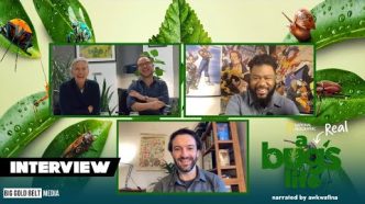 Inside the Buzz of 'A Real Bug's Life' Season 2 with Dr. Martha Holmes, Bill Markham, and Dr. Tim Cockerill