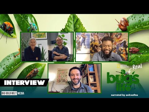 Inside the Buzz of ‘A Real Bug’s Life’ Season 2 with Dr. Martha Holmes, Bill Markham, and Dr. Tim Cockerill