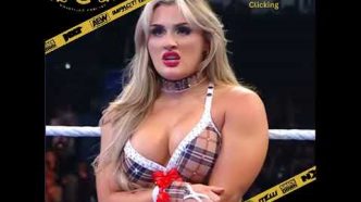 Wrestling Fans Are Divided Over 'It's Not Clicking' Controversy