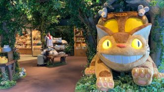 Donguri Republic (Japanese Studio Ghibli Store)