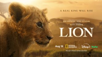 eatured Image Alt Text: National Geographic LION four-part event series follows lion cub Kio on his journey to become king.